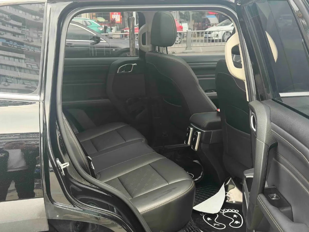 2024 Haval Dargo 2.0T 238HP L4 9DCT,autocango,china used car exporter,china ev exporter,chinese used car exporter,chinese used ev exporter