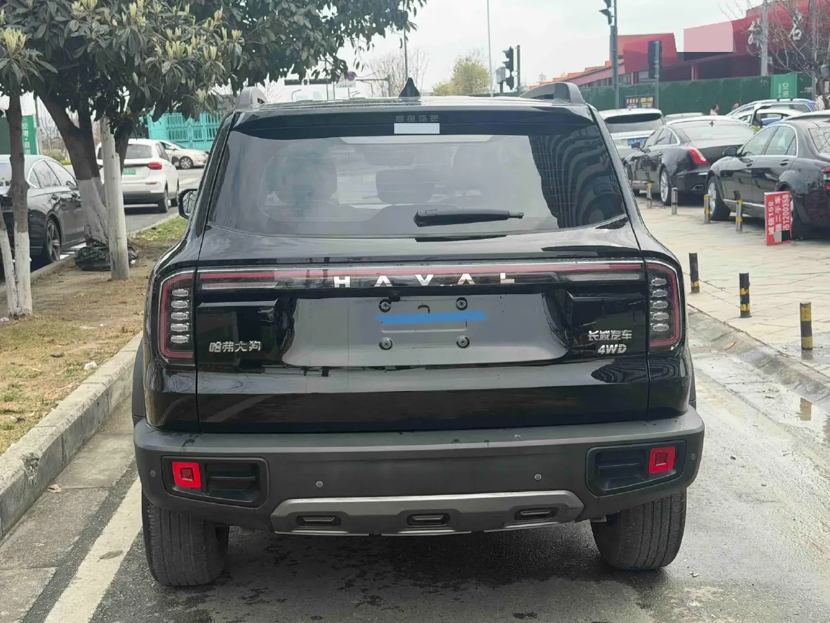 2024 Haval Dargo 2.0T 238HP L4 9DCT,autocango,china used car exporter,china ev exporter,chinese used car exporter,chinese used ev exporter