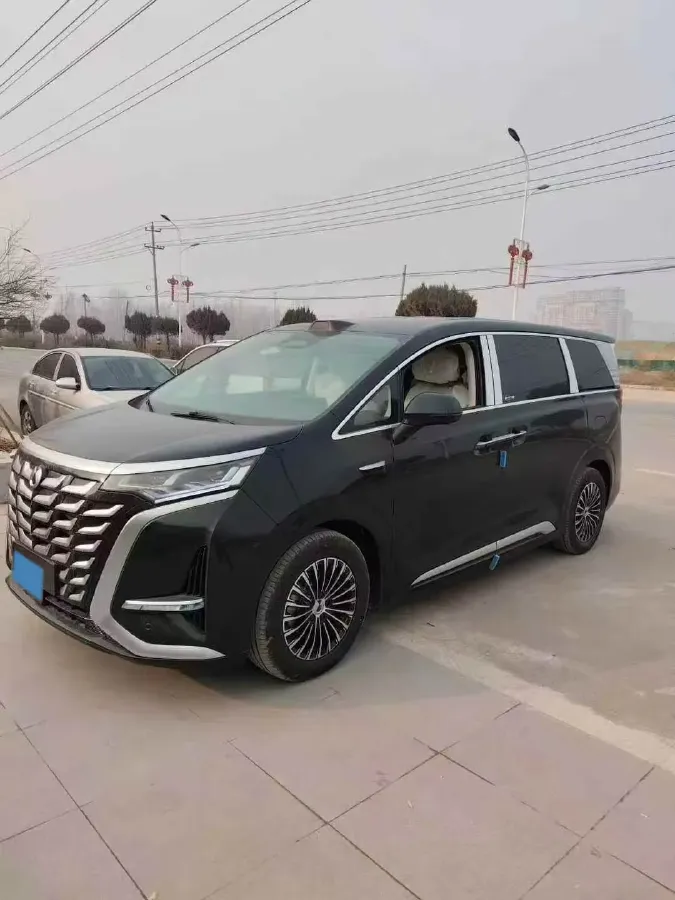 2025 Denza D9 1.5T 156HP L4 E-CVT PHEV 40KWH,autocango,china used car exporter,china ev exporter,chinese used car exporter,chinese used ev exporter
