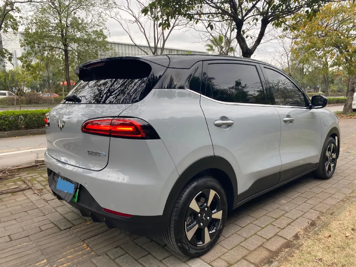 2024 WuLing BinGuoPLUS BEV 31.9KWH,autocango,china used car exporter,china ev exporter,chinese used car exporter,chinese used ev exporter