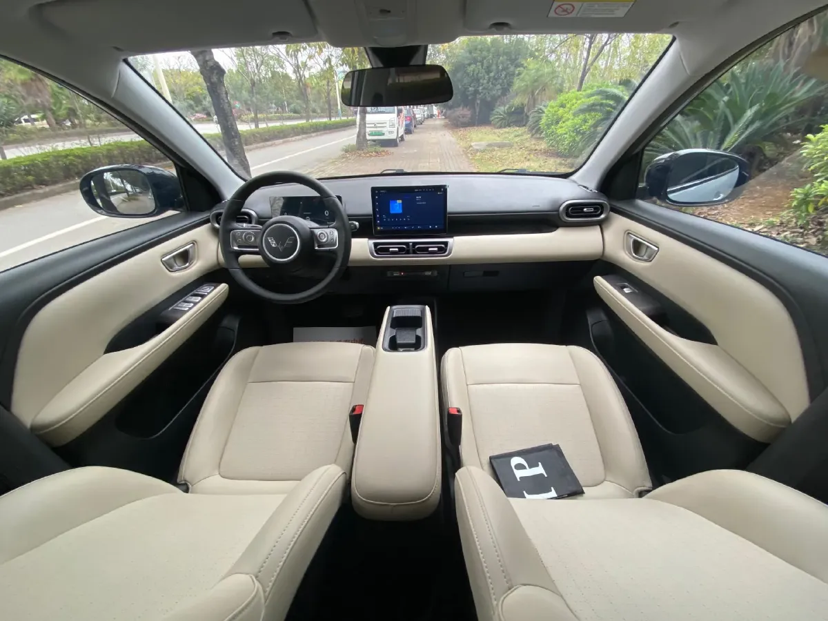 2024 WuLing BinGuoPLUS BEV 31.9KWH,autocango,china used car exporter,china ev exporter,chinese used car exporter,chinese used ev exporter