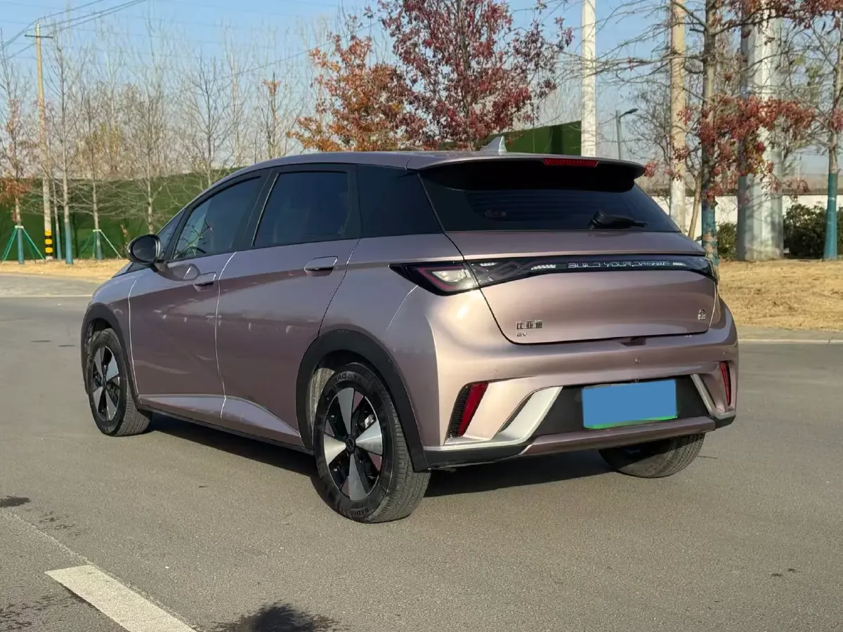 2023 BYD Dolphin BEV 44.928KWH,autocango,china used car exporter,china ev exporter,chinese used car exporter,chinese used ev exporter