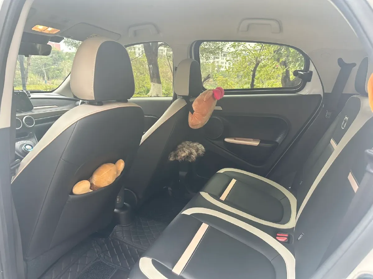 2022 DaYun YueHu BEV 30.66KWH,autocango,china used car exporter,china ev exporter,chinese used car exporter,chinese used ev exporter