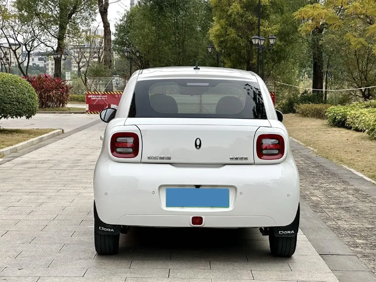 2022 DaYun YueHu BEV 30.66KWH,autocango,china used car exporter,china ev exporter,chinese used car exporter,chinese used ev exporter