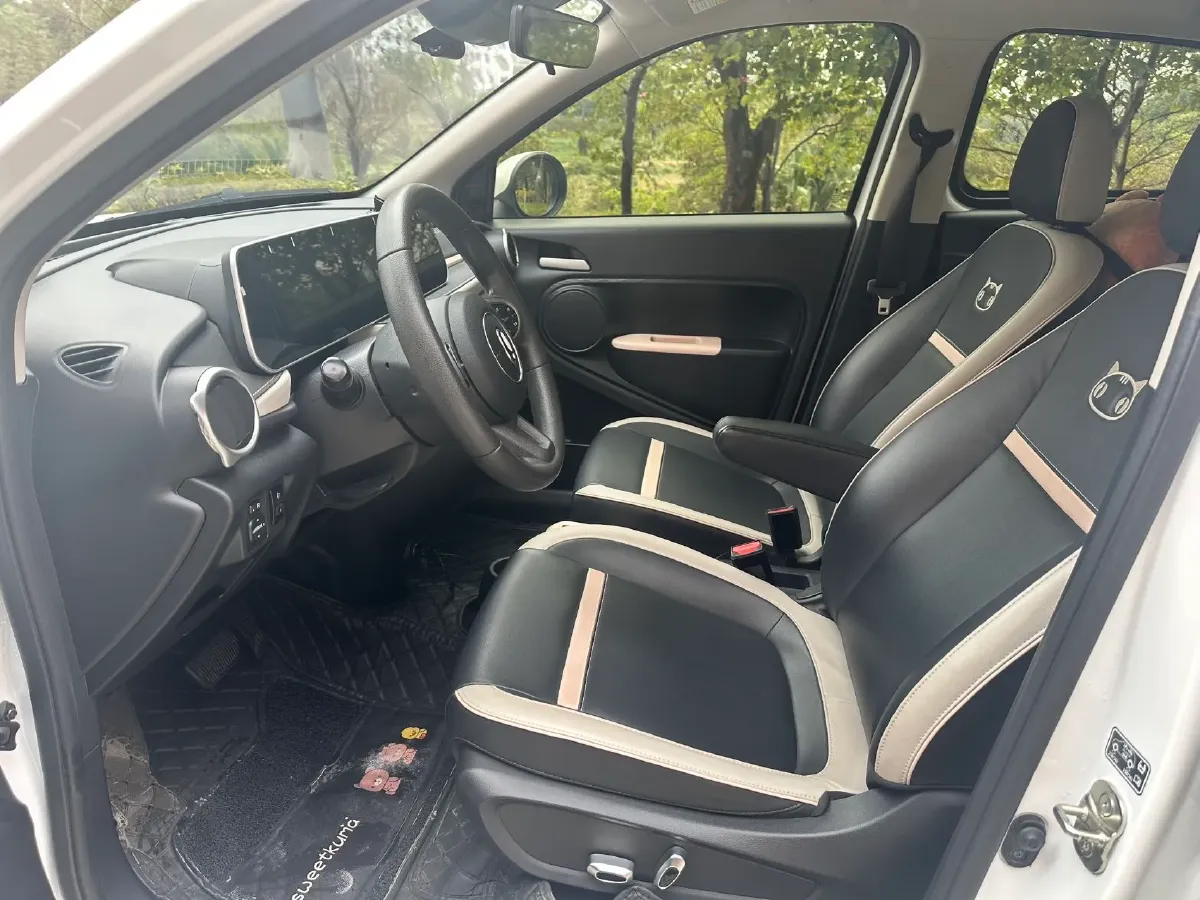 2022 DaYun YueHu BEV 30.66KWH,autocango,china used car exporter,china ev exporter,chinese used car exporter,chinese used ev exporter