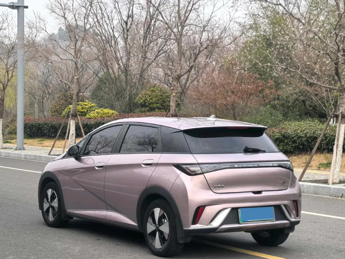 2023 BYD Dolphin BEV 44.928KWH,autocango,china used car exporter,china ev exporter,chinese used car exporter,chinese used ev exporter