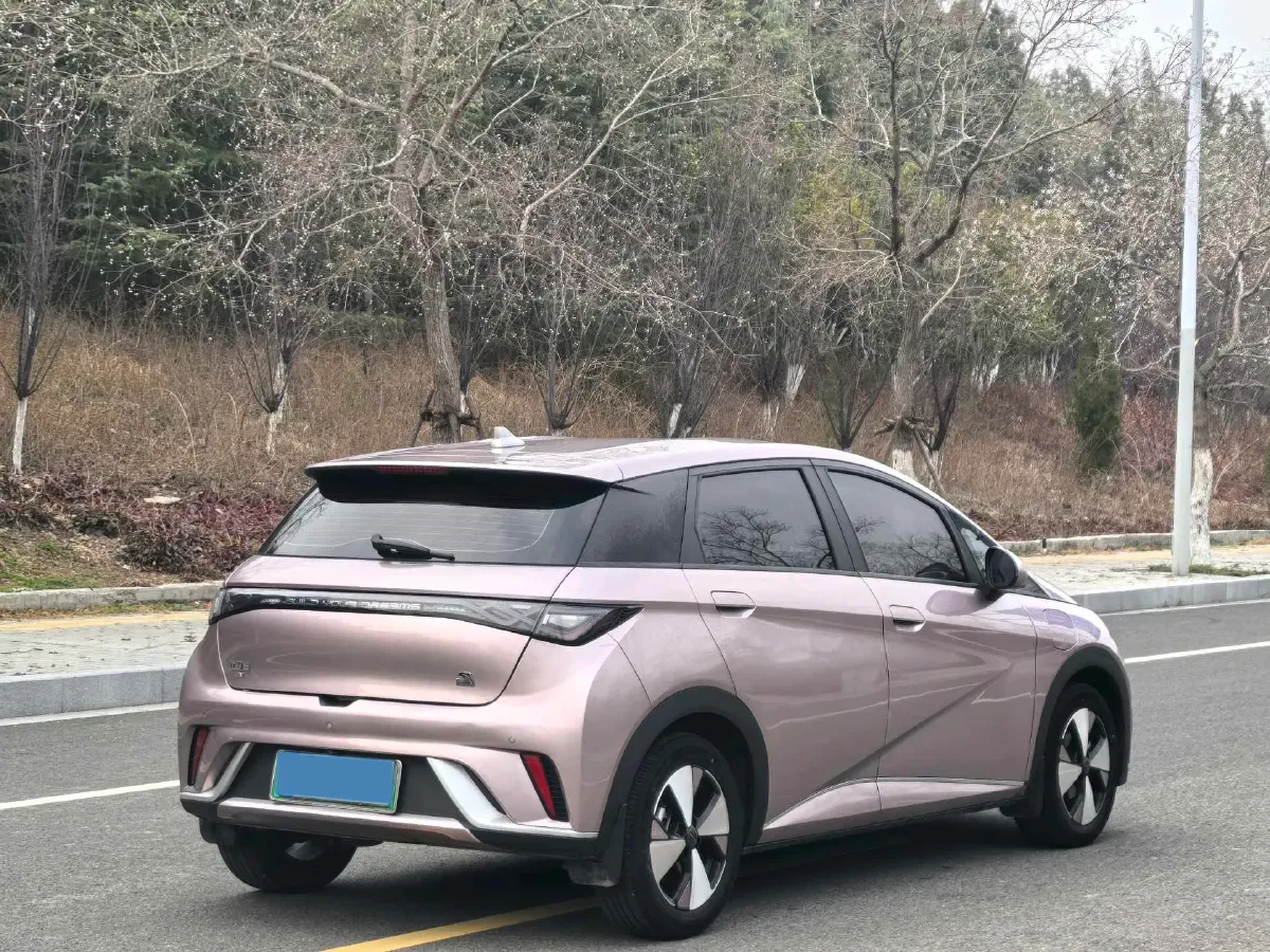 2023 BYD Dolphin BEV 44.928KWH,autocango,china used car exporter,china ev exporter,chinese used car exporter,chinese used ev exporter