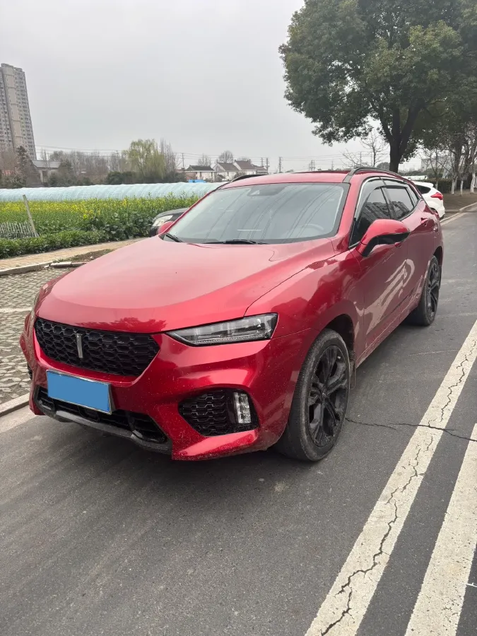 2017 WEY VV7 2.0T 234HP L4 7DCT,autocango,china used car exporter,china ev exporter,chinese used car exporter,chinese used ev exporter