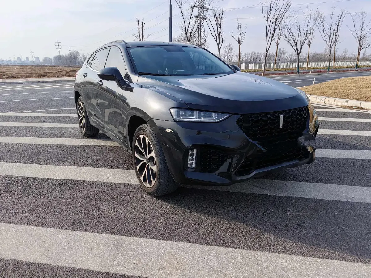 2017 WEY VV7 2.0T 234HP L4 7DCT,autocango,china used car exporter,china ev exporter,chinese used car exporter,chinese used ev exporter