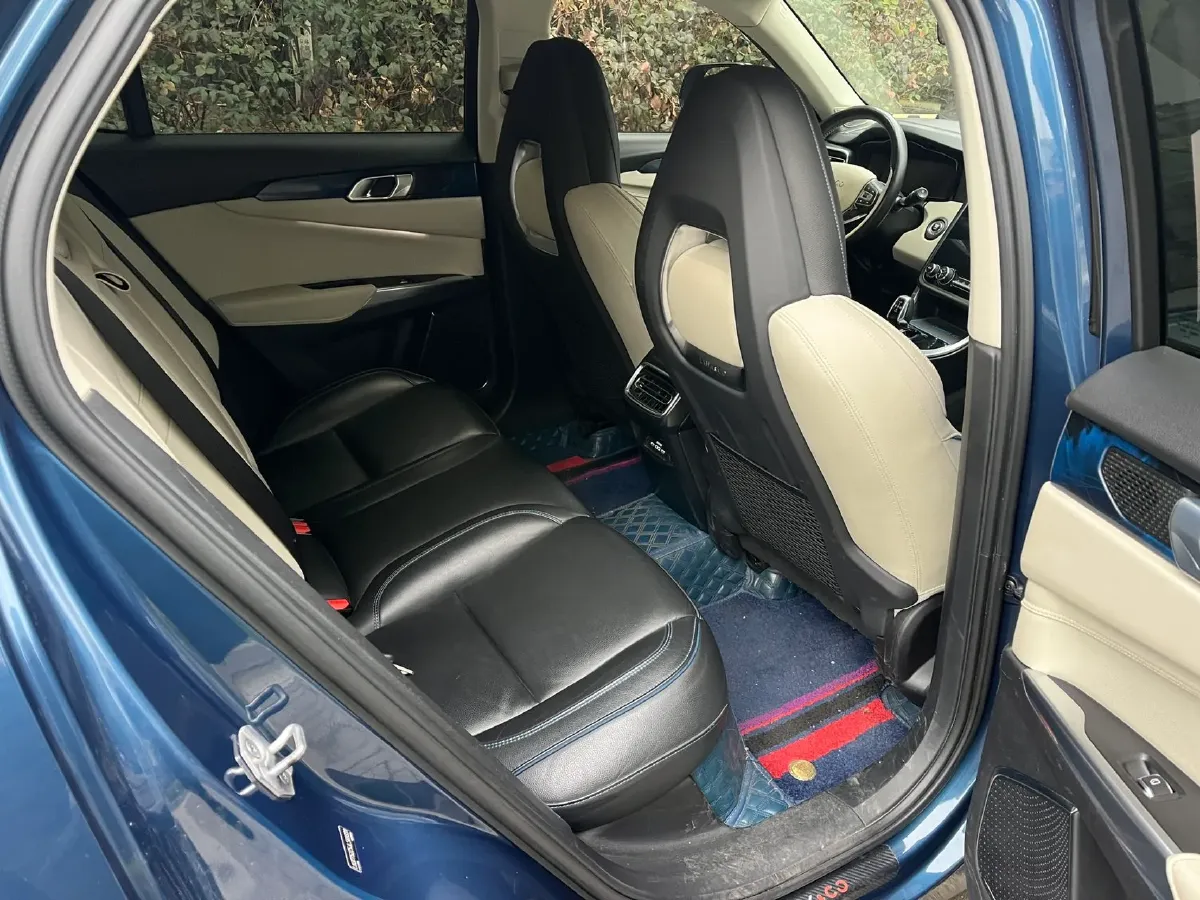 2017 Foton Sauvana 2.0T 218HP L4 6AT,autocango,china used car exporter,china ev exporter,chinese used car exporter,chinese used ev exporter