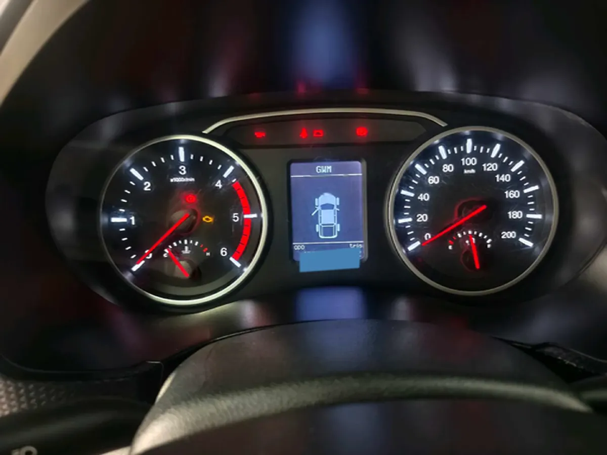 2021 Great Wall Wingle 5 2.0T 139HP L4 6MT,autocango,china used car exporter,china ev exporter,chinese used car exporter,chinese used ev exporter