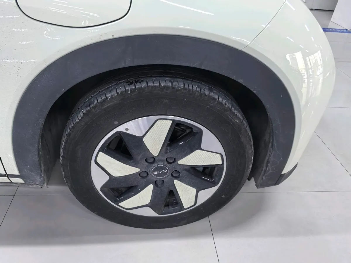 2025 BYD Dolphin BEV 44.928KWH,autocango,china used car exporter,china ev exporter,chinese used car exporter,chinese used ev exporter