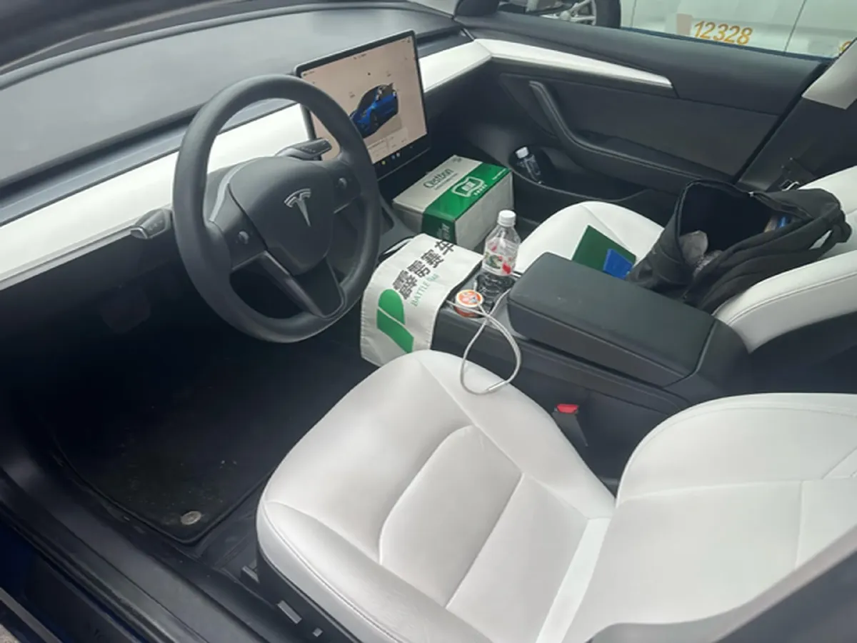 2022 Tesla Model 3 BEV 60KWH,autocango,china used car exporter,china ev exporter,chinese used car exporter,chinese used ev exporter