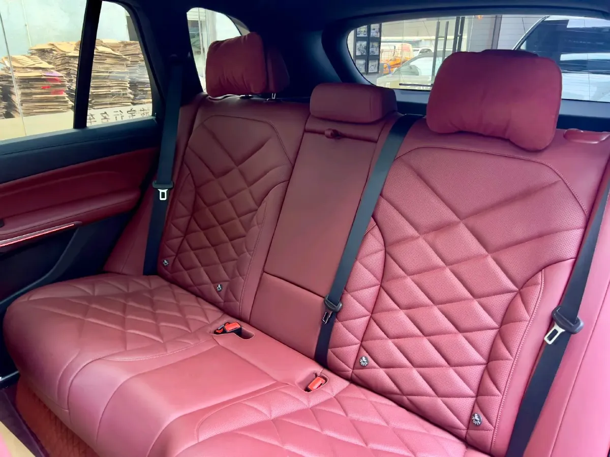 2023 BMW X5 3.0T 381HP L6 8AT,autocango,china used car exporter,china ev exporter,chinese used car exporter,chinese used ev exporter