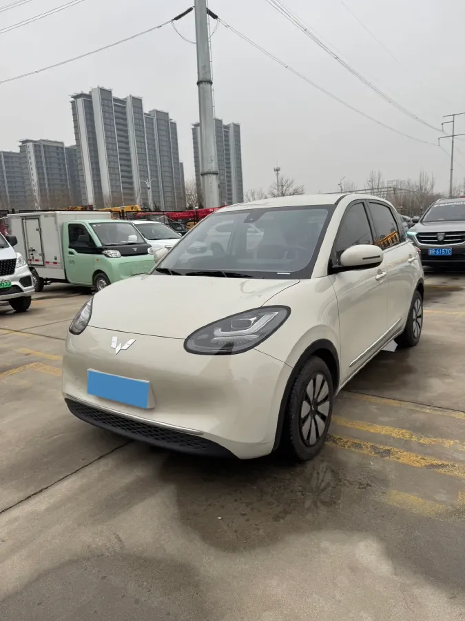 2023 WuLing BinGuo BEV 17.3KWH,autocango,china used car exporter,china ev exporter,chinese used car exporter,chinese used ev exporter