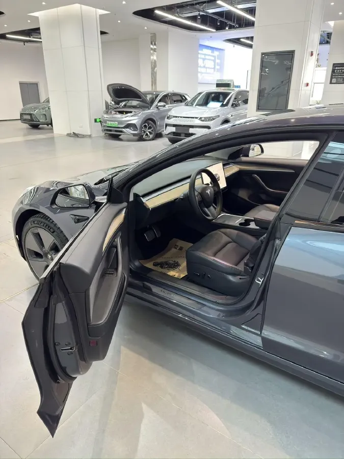 2022 Tesla Model 3 BEV 60KWH,autocango,china used car exporter,china ev exporter,chinese used car exporter,chinese used ev exporter