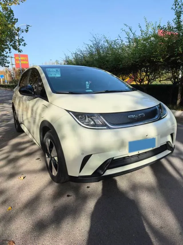 2023 BYD Dolphin BEV 44.928KWH,autocango,china used car exporter,china ev exporter,chinese used car exporter,chinese used ev exporter