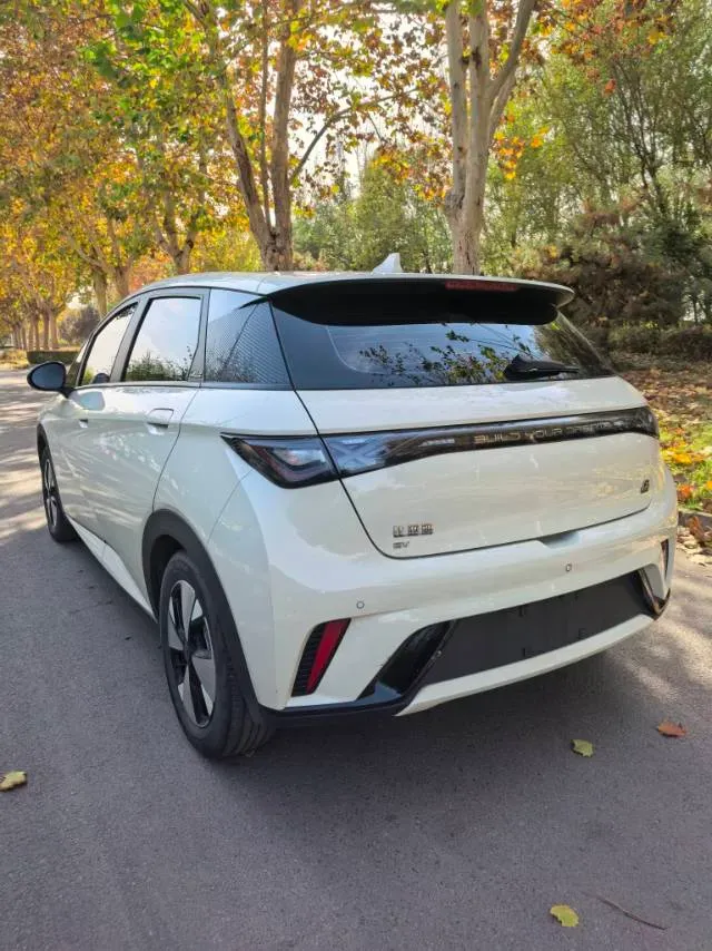 2023 BYD Dolphin BEV 44.928KWH,autocango,china used car exporter,china ev exporter,chinese used car exporter,chinese used ev exporter