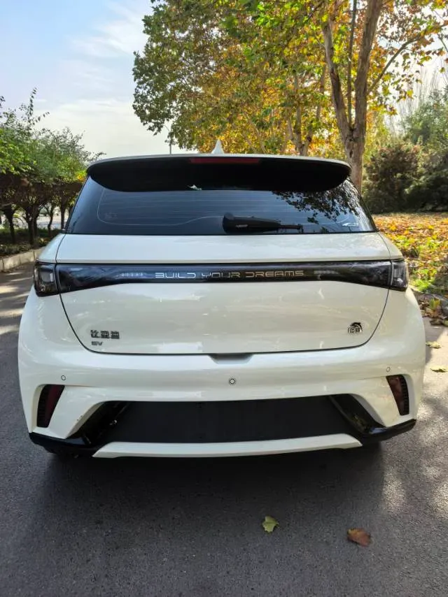 2023 BYD Dolphin BEV 44.928KWH,autocango,china used car exporter,china ev exporter,chinese used car exporter,chinese used ev exporter