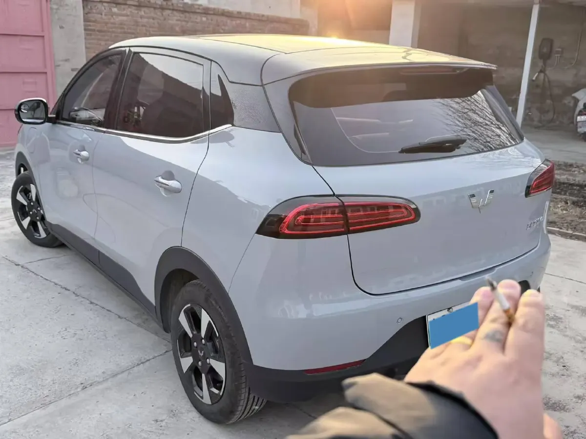 2024 WuLing BinGuoPLUS BEV 50.6KWH,autocango,china used car exporter,china ev exporter,chinese used car exporter,chinese used ev exporter