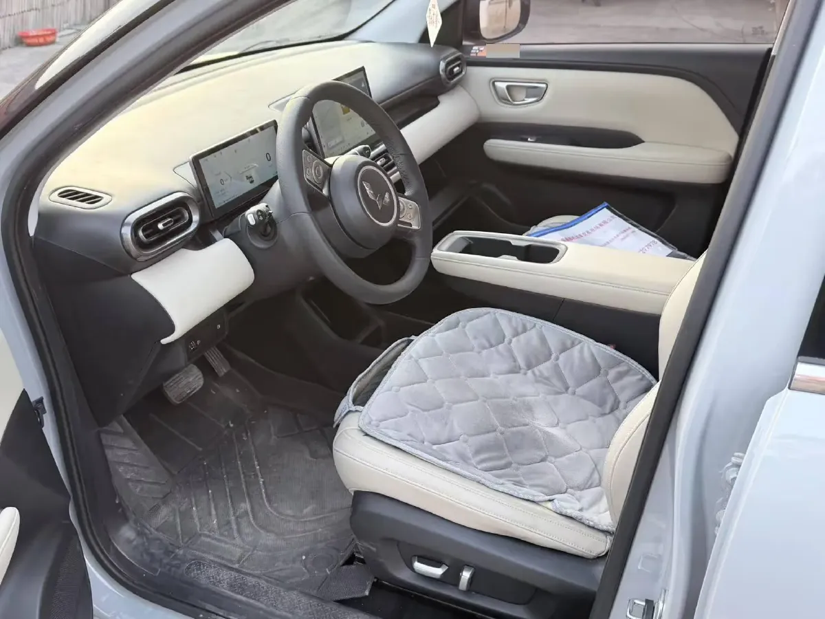 2024 WuLing BinGuoPLUS BEV 50.6KWH,autocango,china used car exporter,china ev exporter,chinese used car exporter,chinese used ev exporter