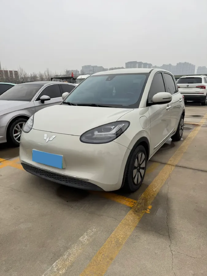 2023 WuLing BinGuo BEV 31.9KWH,autocango,china used car exporter,china ev exporter,chinese used car exporter,chinese used ev exporter