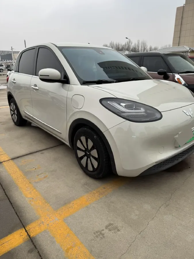 2023 WuLing BinGuo BEV 31.9KWH,autocango,china used car exporter,china ev exporter,chinese used car exporter,chinese used ev exporter