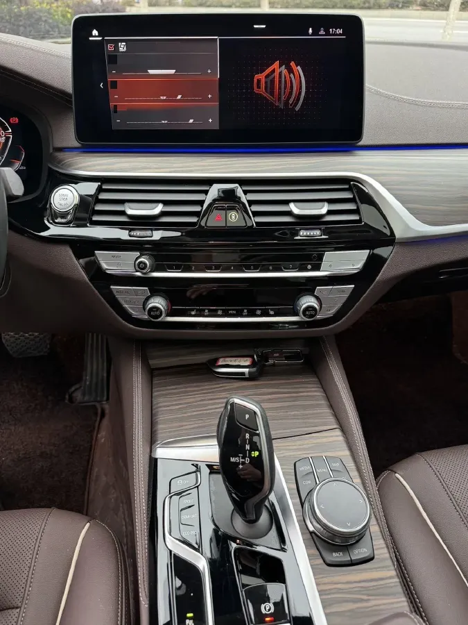 2023 BMW 5 Series 2.0T 245HP L4 8AT,autocango,china used car exporter,china ev exporter,chinese used car exporter,chinese used ev exporter