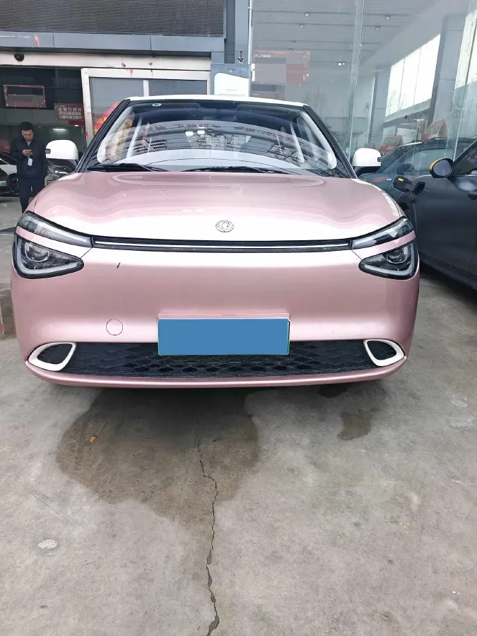 2024 DongFeng eπ 01 BEV 31.45KWH,autocango,china used car exporter,china ev exporter,chinese used car exporter,chinese used ev exporter