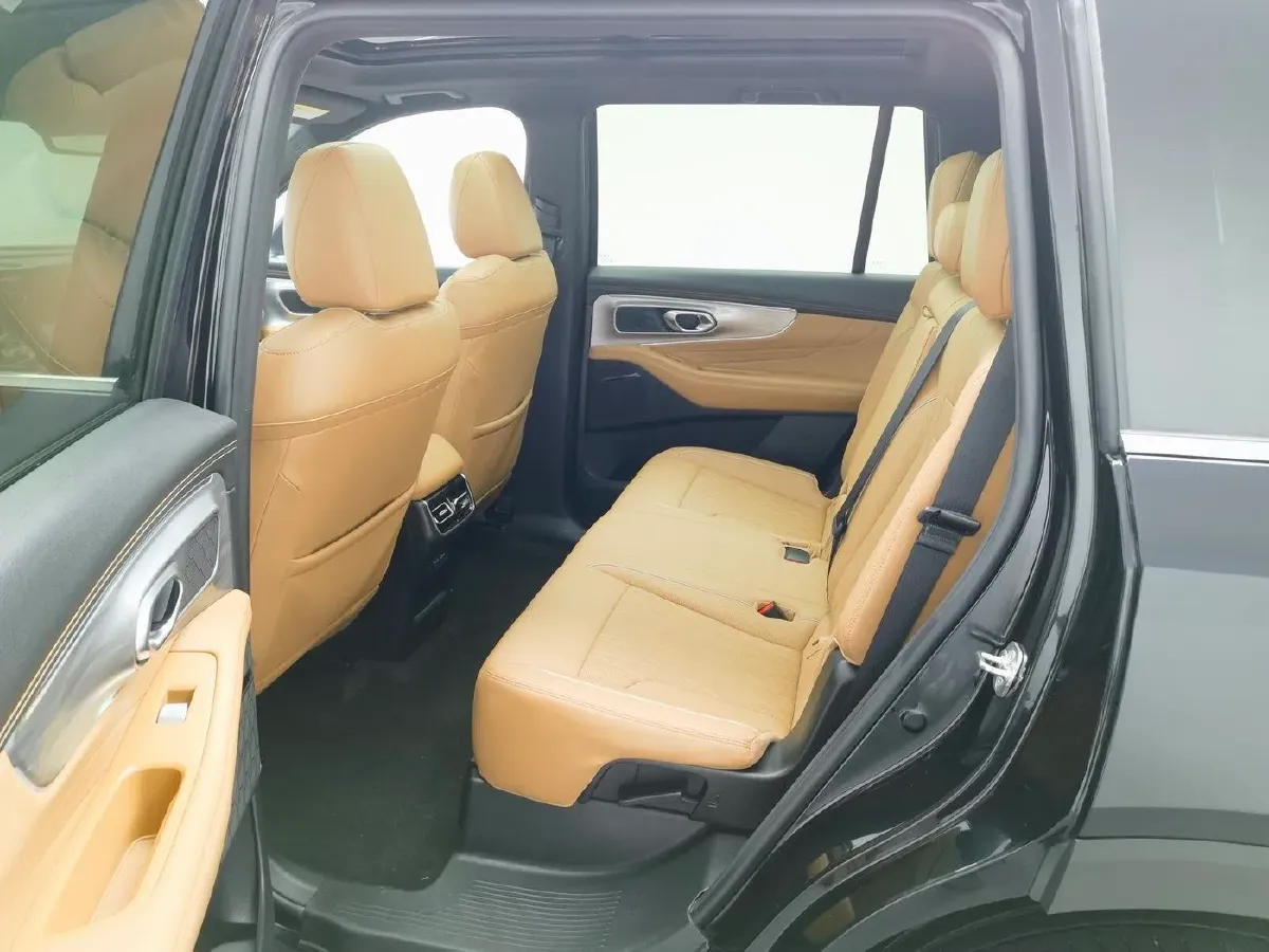 2024 GAC Trumpchi GS8 2.0T 252HP L4 8AT,autocango,china used car exporter,china ev exporter,chinese used car exporter,chinese used ev exporter