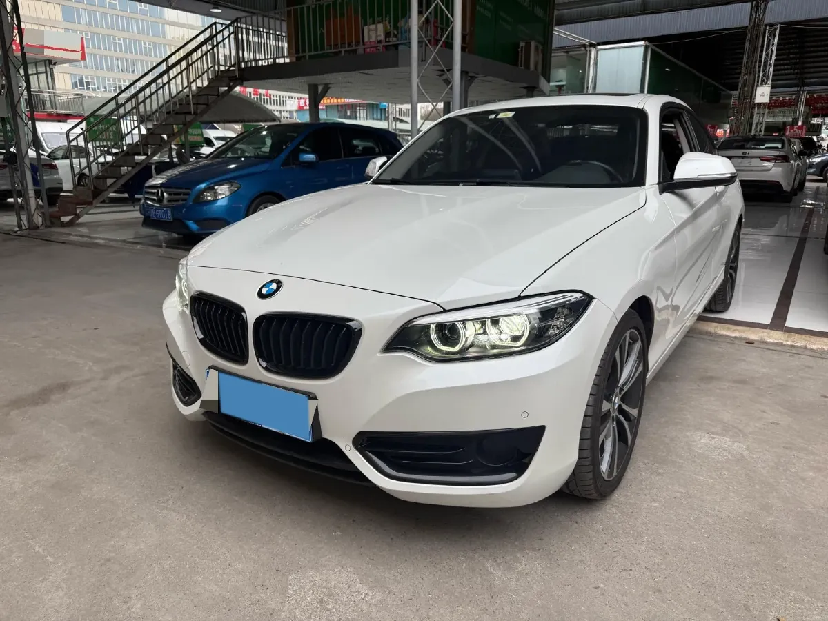 2019 BMW 2 Series 2.0T 184HP L4 8AT,autocango,china used car exporter,china ev exporter,chinese used car exporter,chinese used ev exporter