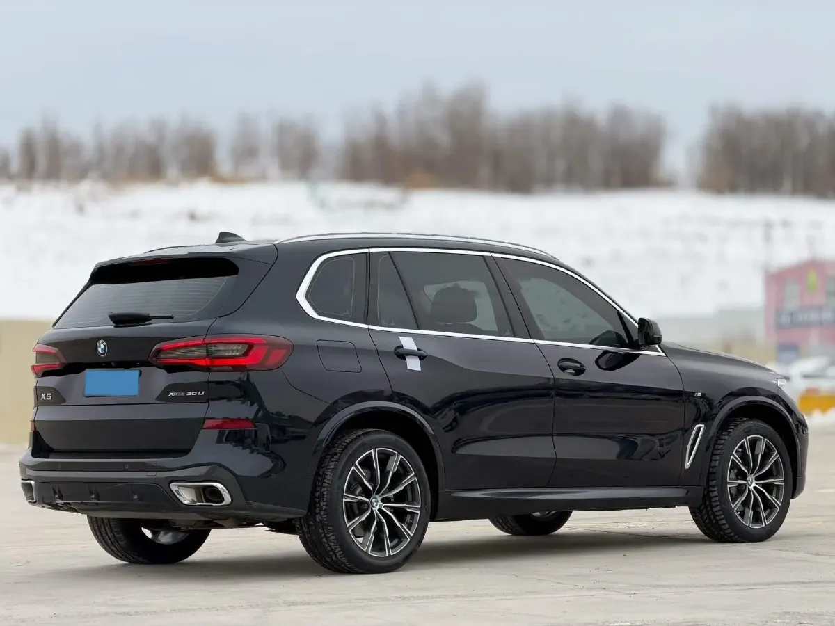 2022 BMW X5 2.0T 245HP L4 8AT,autocango,china used car exporter,china ev exporter,chinese used car exporter,chinese used ev exporter