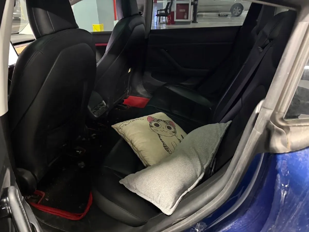 2020 Tesla Model 3 BEV 52KWH,autocango,china used car exporter,china ev exporter,chinese used car exporter,chinese used ev exporter