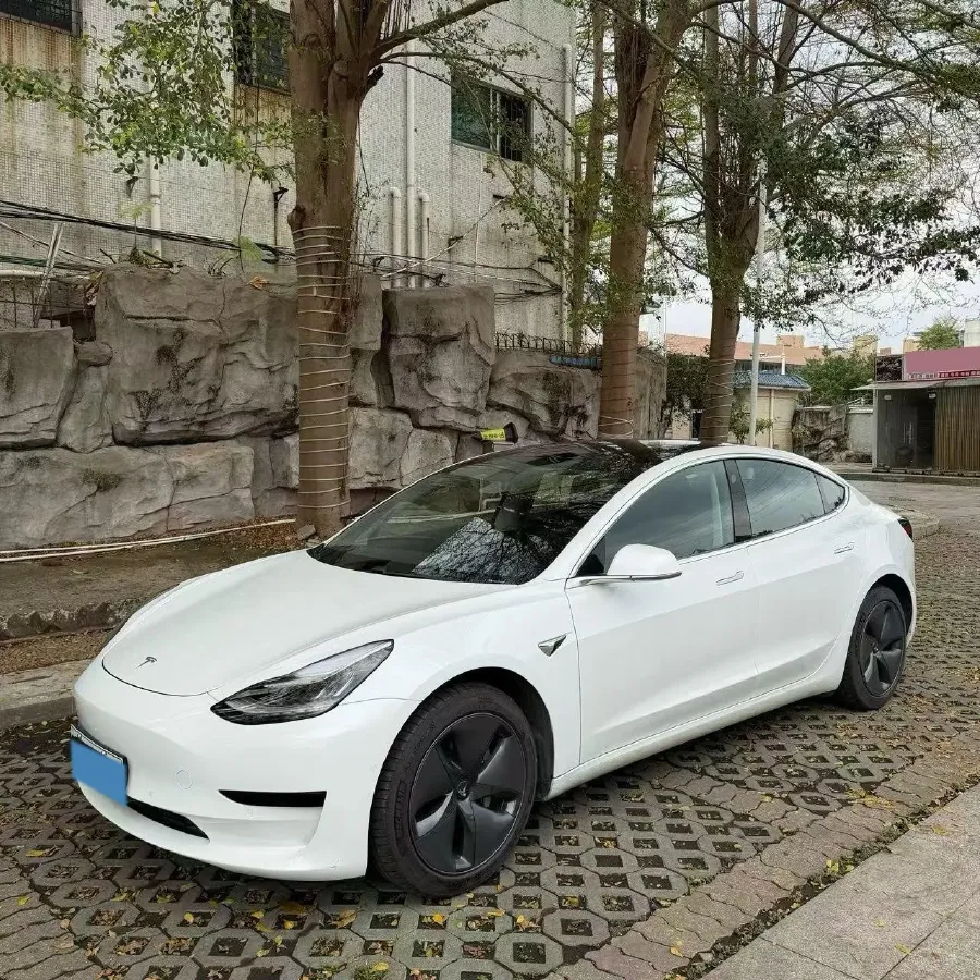 2020 Tesla Model 3 BEV 52KWH,autocango,china used car exporter,china ev exporter,chinese used car exporter,chinese used ev exporter