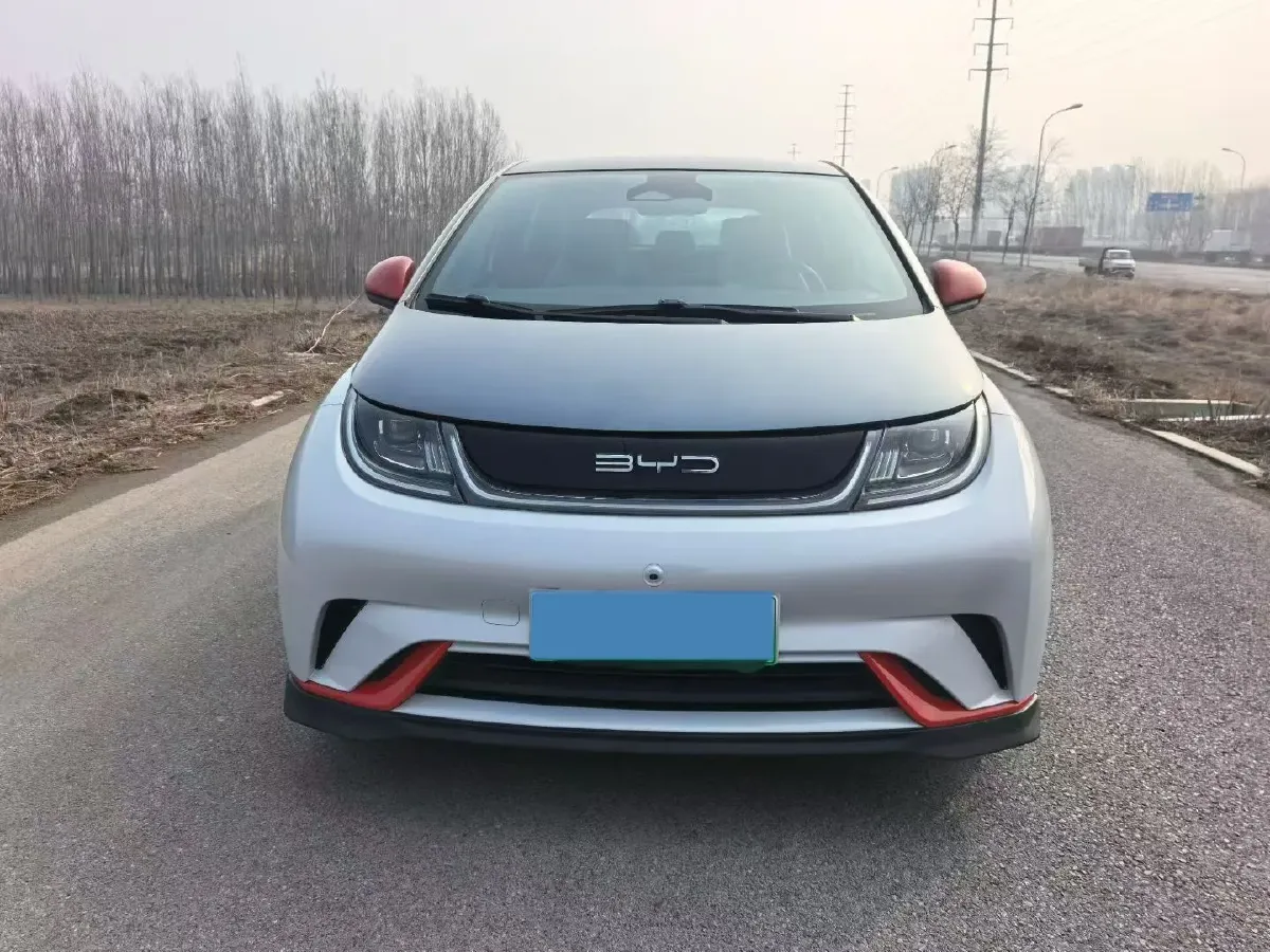 2021 BYD e2 BEV 43.2KWH,autocango,china used car exporter,china ev exporter,chinese used car exporter,chinese used ev exporter