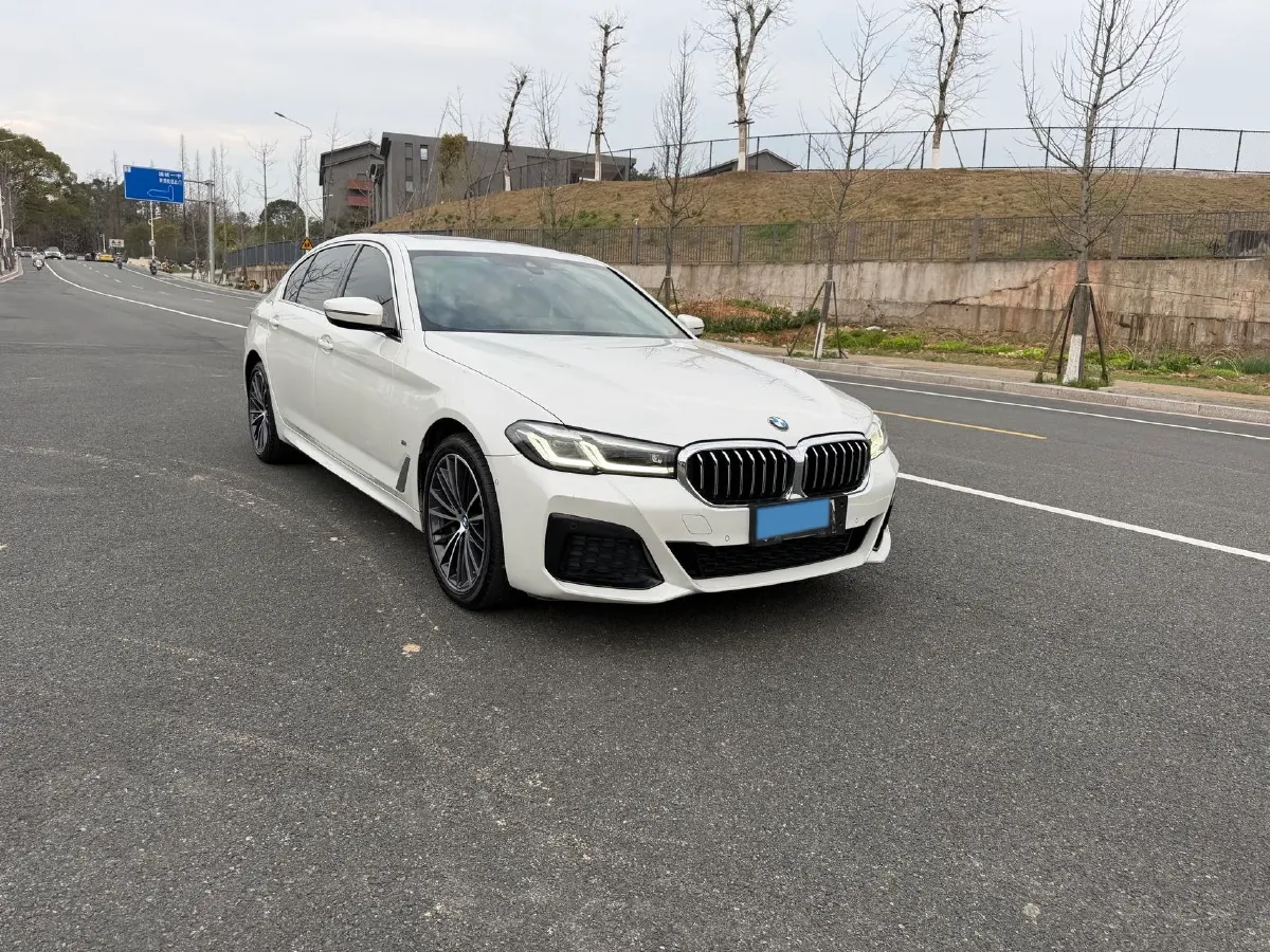 2022 BMW 5 Series 2.0T 252HP L4 8AT,autocango,china used car exporter,china ev exporter,chinese used car exporter,chinese used ev exporter