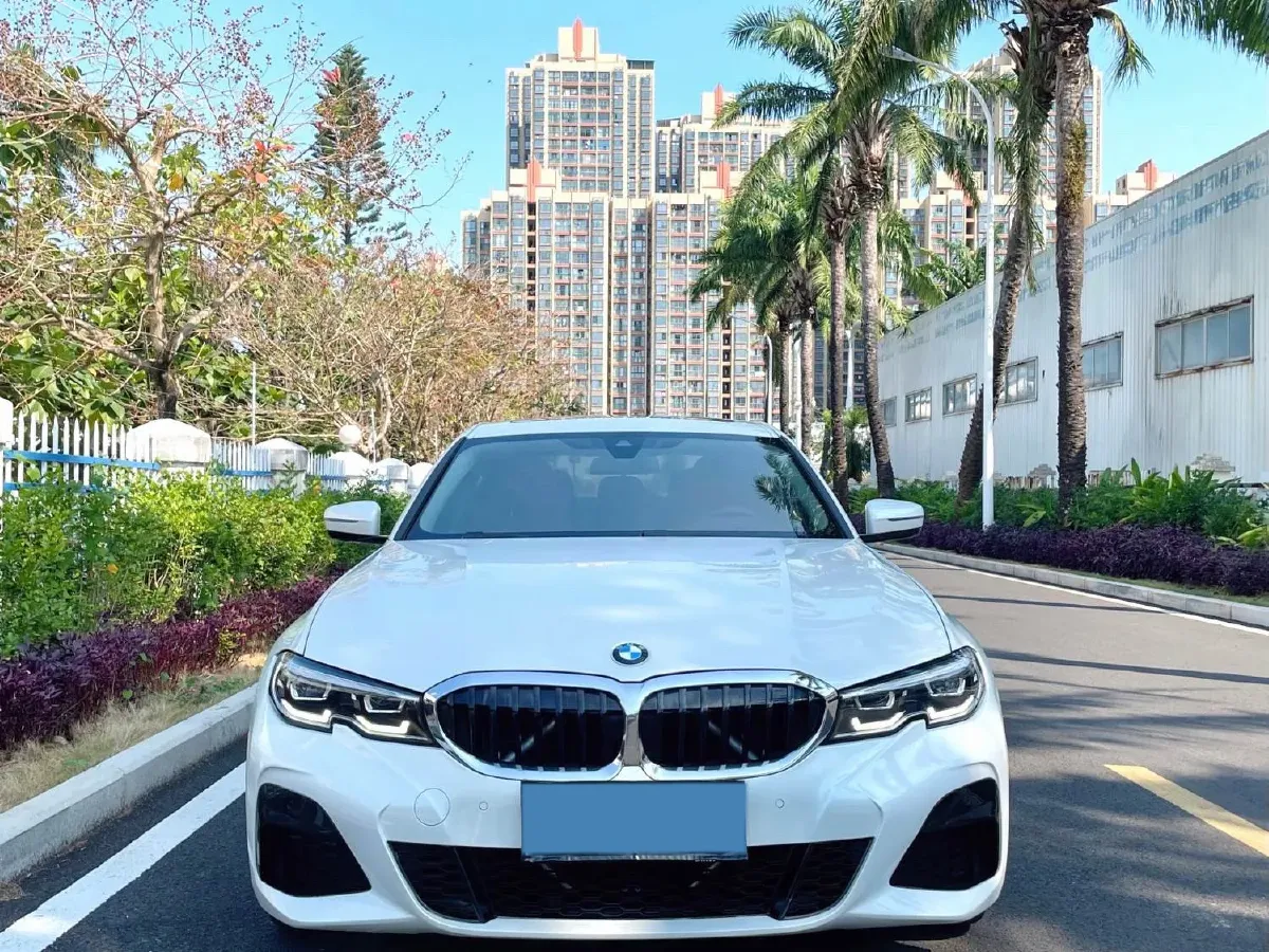 2021 BMW 3 Series 2.0T 184HP L4 8AT,autocango,china used car exporter,china ev exporter,chinese used car exporter,chinese used ev exporter