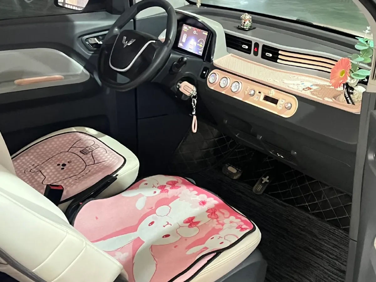 2022 DongFeng Fengon Fengon MINI EV BEV 9.18KWH,autocango,china used car exporter,china ev exporter,chinese used car exporter,chinese used ev exporter