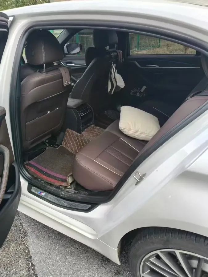 2022 BMW 5 Series 2.0T 252HP L4 8AT,autocango,china used car exporter,china ev exporter,chinese used car exporter,chinese used ev exporter