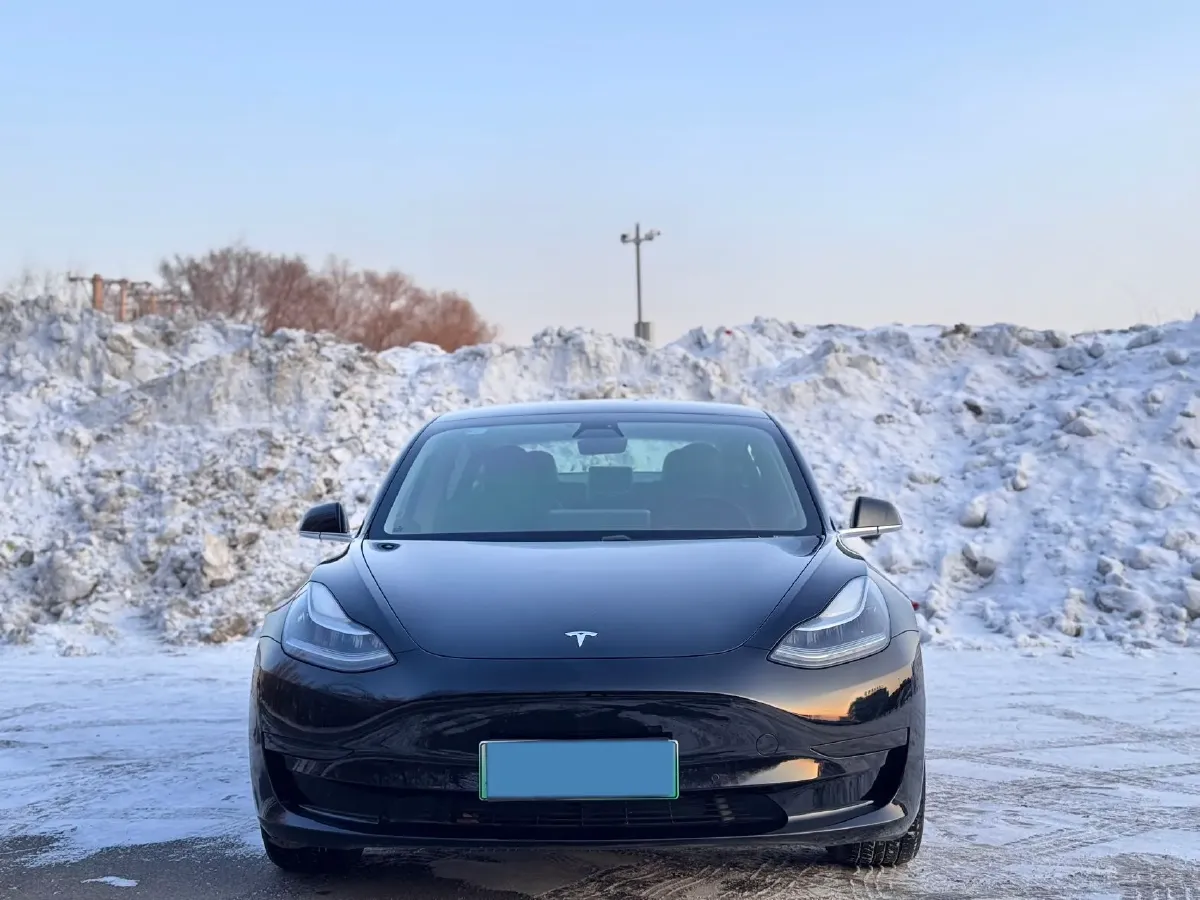 2020 Tesla Model 3 BEV 52KWH,autocango,china used car exporter,china ev exporter,chinese used car exporter,chinese used ev exporter