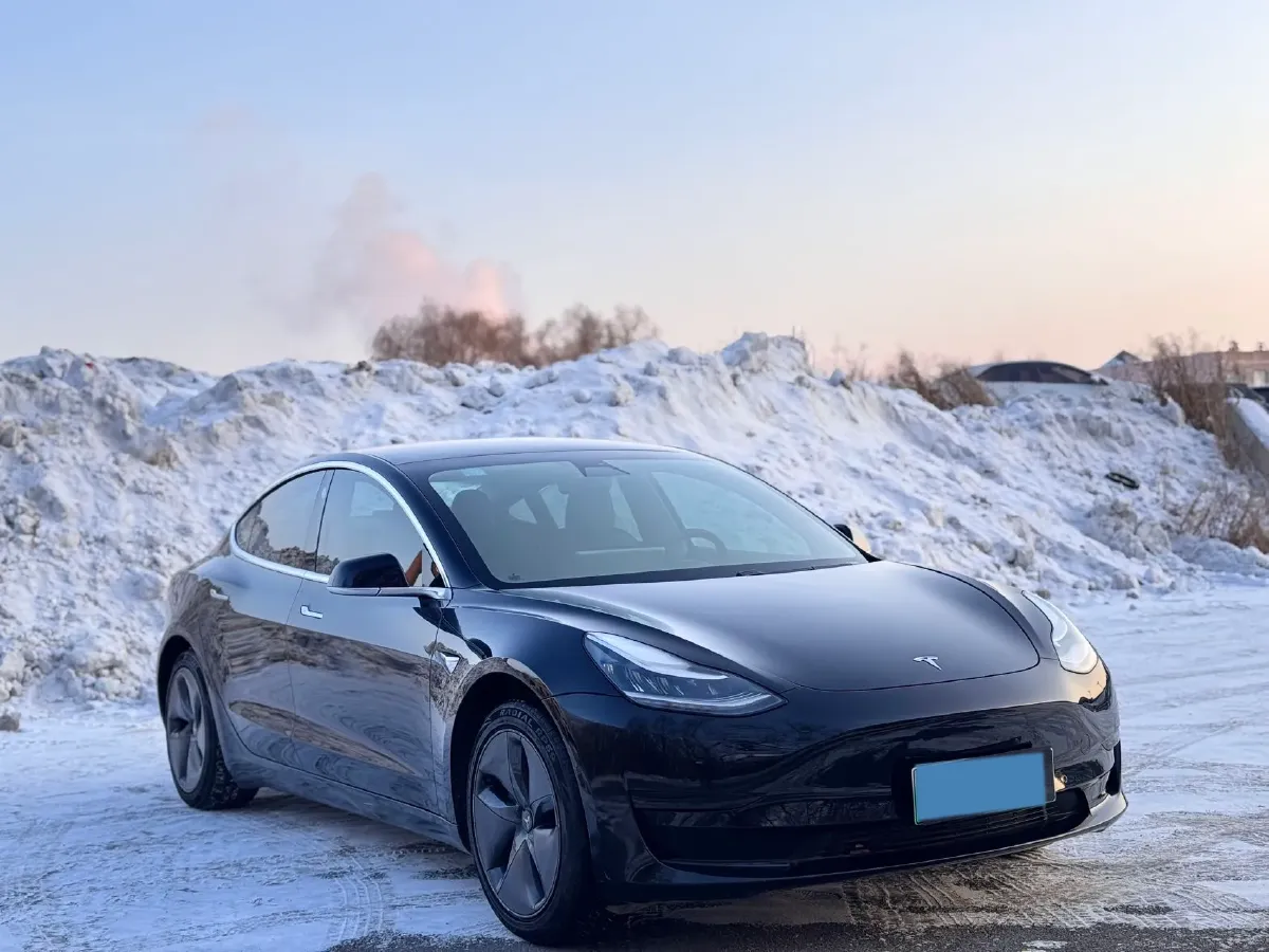 2020 Tesla Model 3 BEV 52KWH,autocango,china used car exporter,china ev exporter,chinese used car exporter,chinese used ev exporter