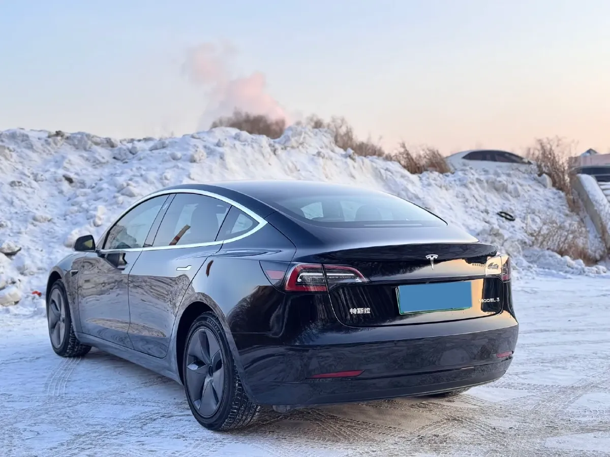 2020 Tesla Model 3 BEV 52KWH,autocango,china used car exporter,china ev exporter,chinese used car exporter,chinese used ev exporter