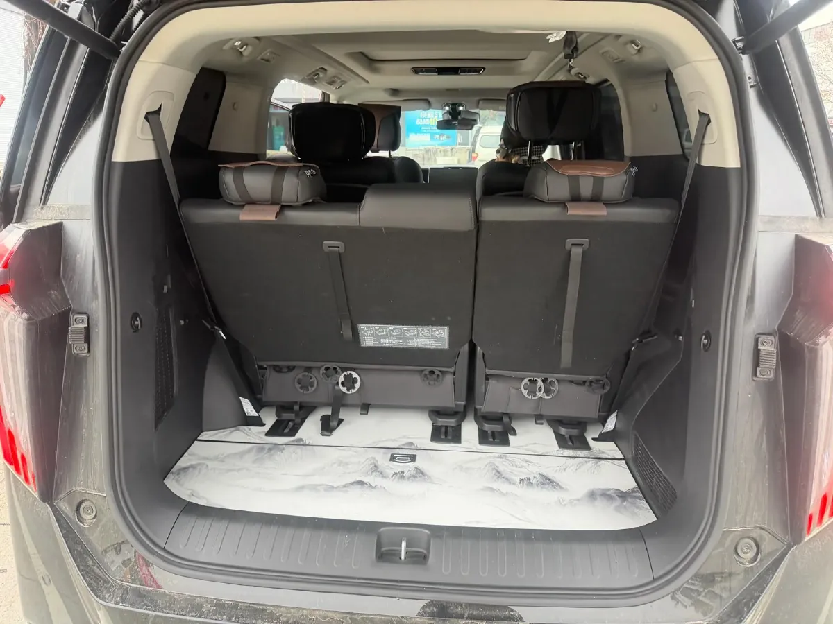 2024 GAC Trumpchi M8 2.0T 252HP L4 8AT,autocango,china used car exporter,china ev exporter,chinese used car exporter,chinese used ev exporter