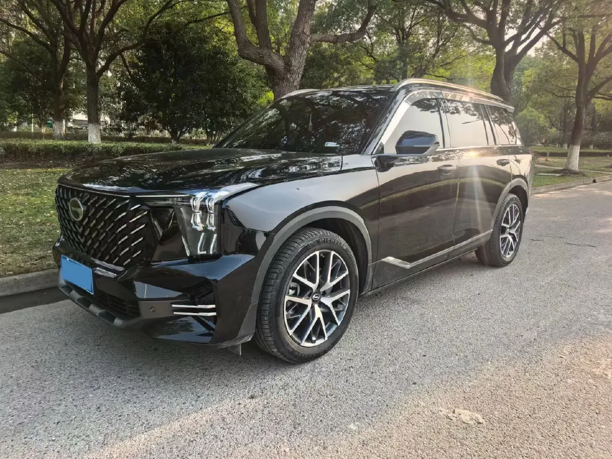 2024 GAC Trumpchi GS8 2.0T 252HP L4 8AT,autocango,china used car exporter,china ev exporter,chinese used car exporter,chinese used ev exporter