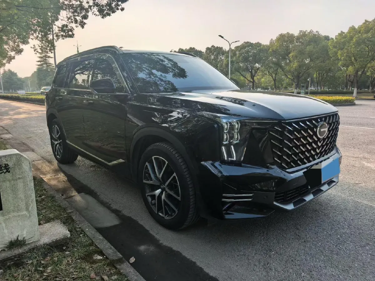 2024 GAC Trumpchi GS8 2.0T 252HP L4 8AT,autocango,china used car exporter,china ev exporter,chinese used car exporter,chinese used ev exporter