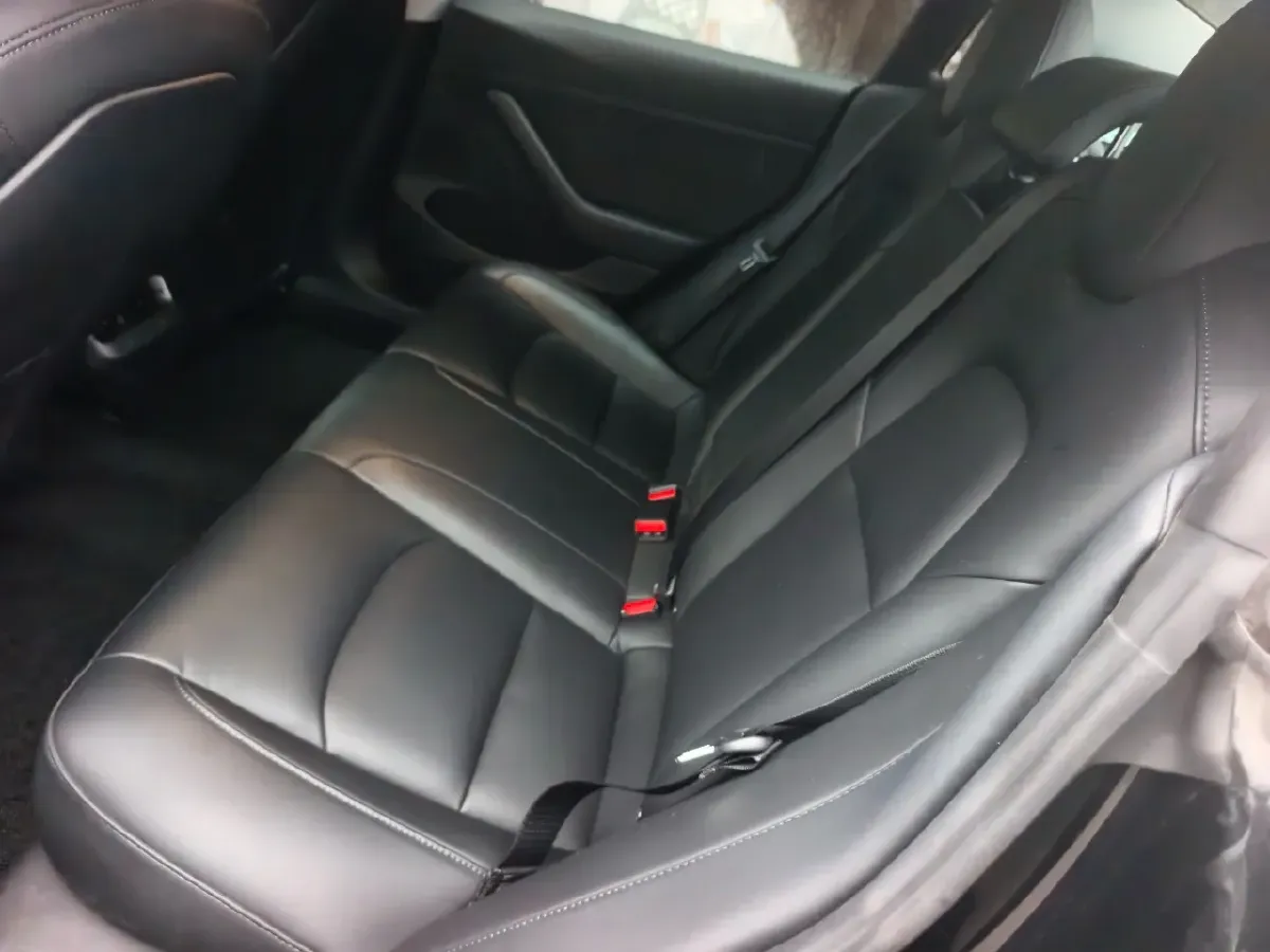 2021 Tesla Model 3 BEV 55KWH,autocango,china used car exporter,china ev exporter,chinese used car exporter,chinese used ev exporter