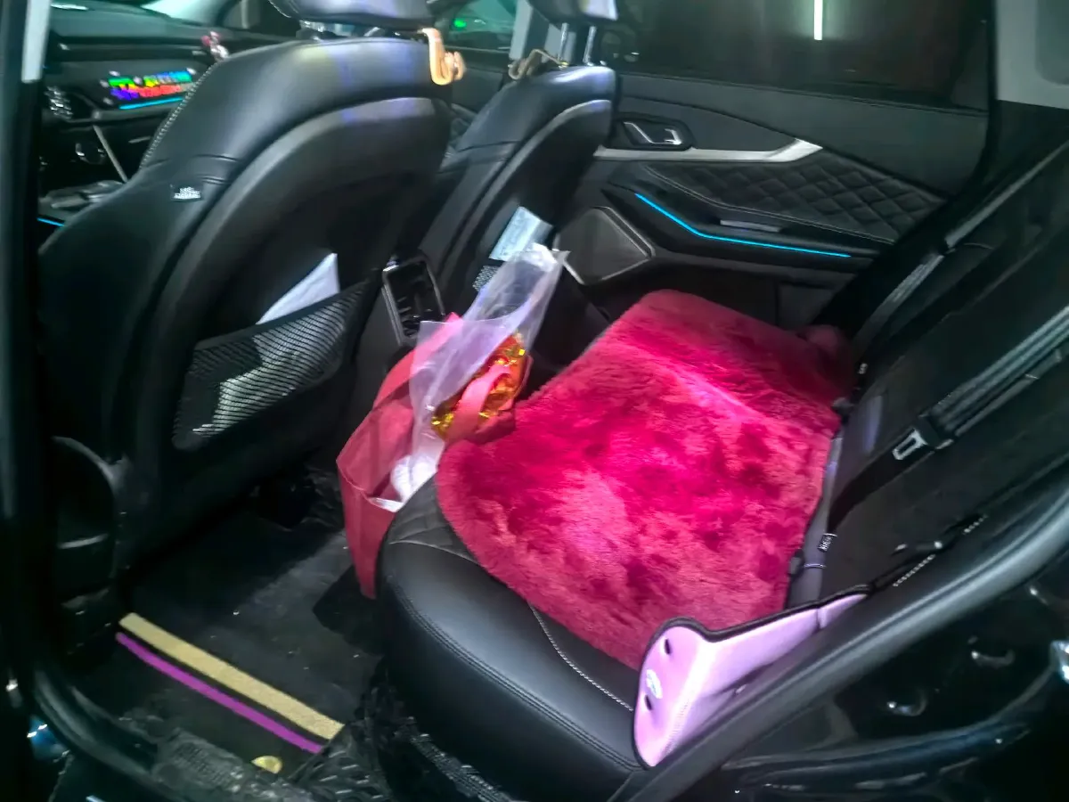 2021 Exceed TXL 2.0T 261HP L4 7DCT,autocango,china used car exporter,china ev exporter,chinese used car exporter,chinese used ev exporter