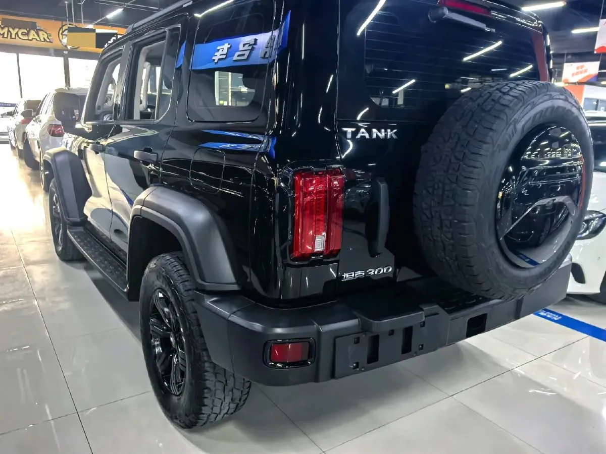 2023 Tank 300 2.0T 227HP L4 8AT,autocango,china used car exporter,china ev exporter,chinese used car exporter,chinese used ev exporter