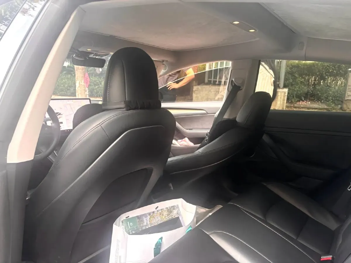 2022 Tesla Model 3 BEV 60KWH,autocango,china used car exporter,china ev exporter,chinese used car exporter,chinese used ev exporter