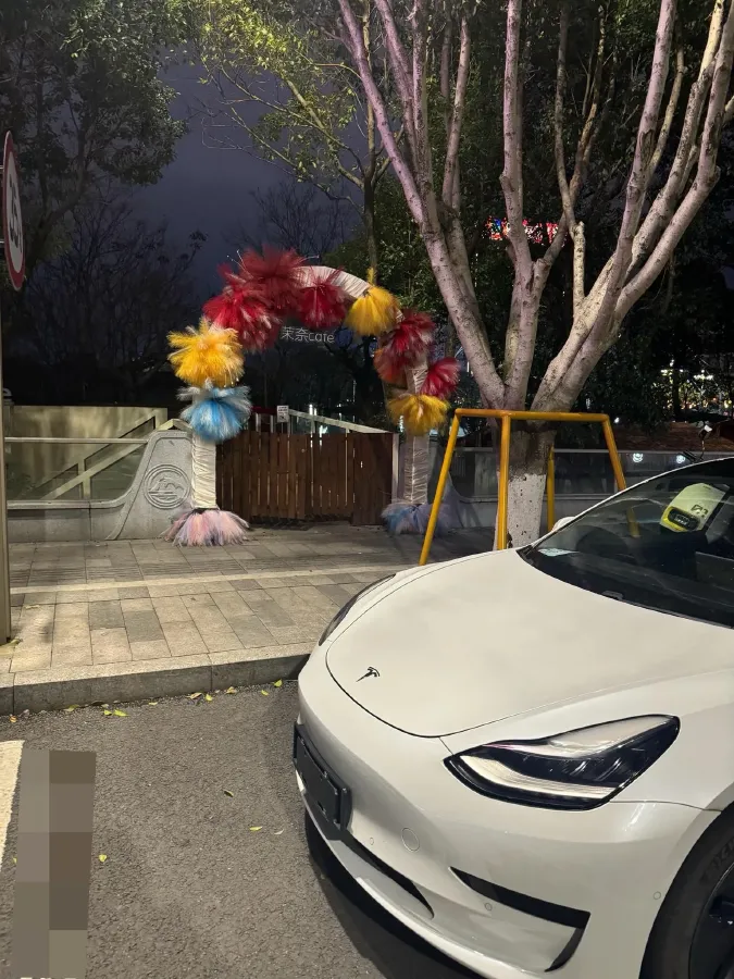 2020 Tesla Model 3 BEV 52KWH,autocango,china used car exporter,china ev exporter,chinese used car exporter,chinese used ev exporter